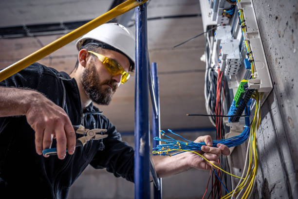 Best Electrician for Home Renovation  in Alanuk, AK