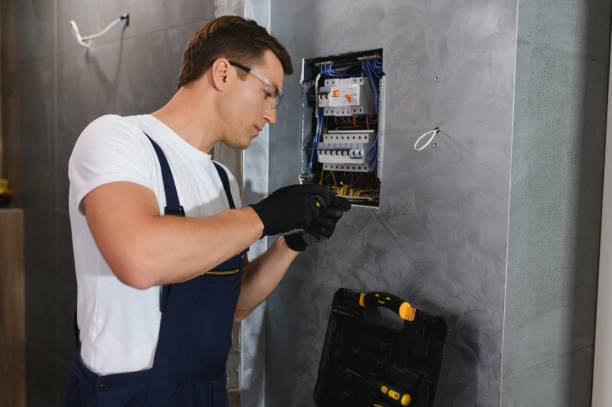 Best Electrician for Home Renovation  in Alanuk, AK