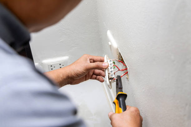 Best Electrical Troubleshooting Services  in Alanuk, AK