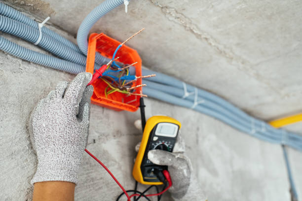 Best Electrical System Inspection  in Alanuk, AK